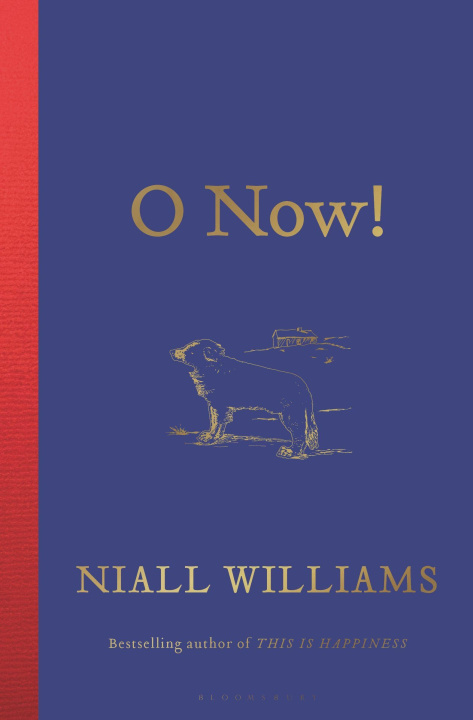 Buch O Now! WILLIAMS NIALL