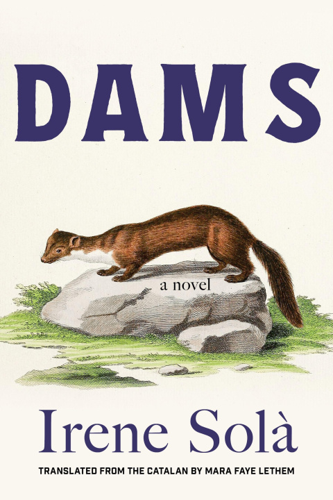 Kniha Dams Irene Sola