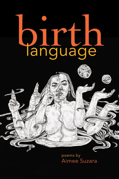 Kniha Birth Language Aimee Suzara