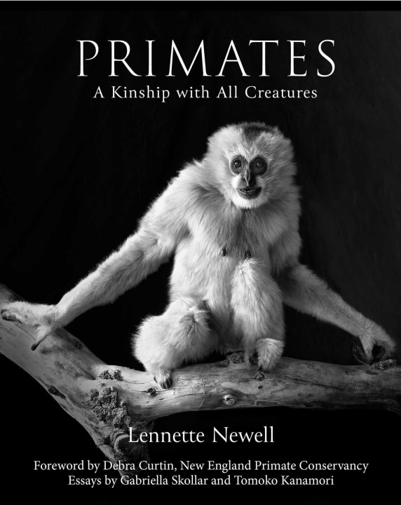Kniha Primates NEWELL LENNETTE