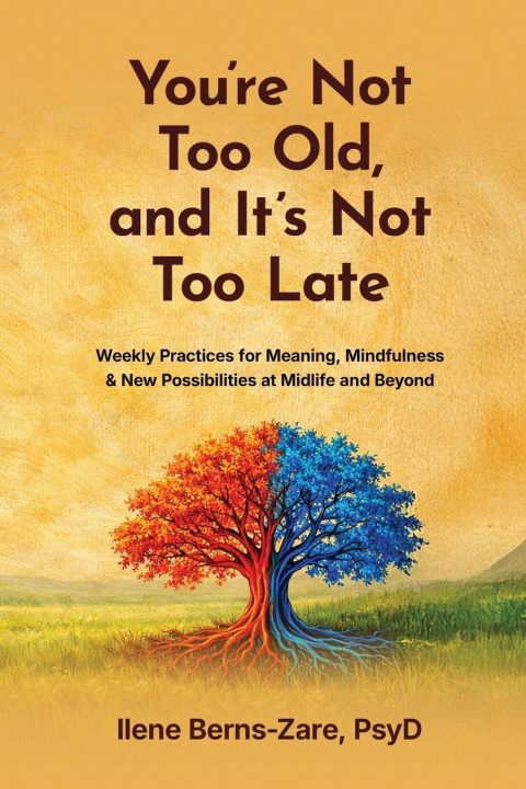 Libro You're Not Too Old, and It's Not Too Late 
