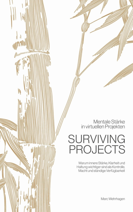 Kniha Surviving Projects 