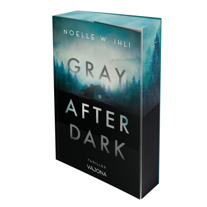 Kniha Gray After Dark Patricia Herbst