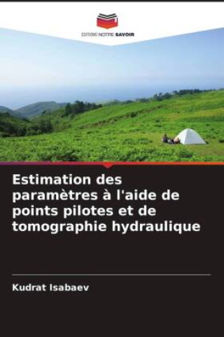 Kniha Estimation des paramètres à l'aide de points pilotes et de tomographie hydraulique Kudrat Isabaev