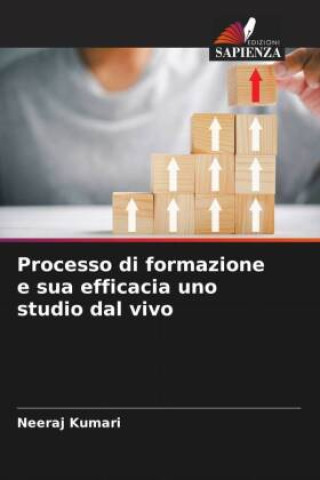 Knjiga Processo di formazione e sua efficacia uno studio dal vivo Neeraj Kumari