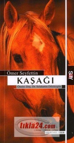 Kniha Kasagi 