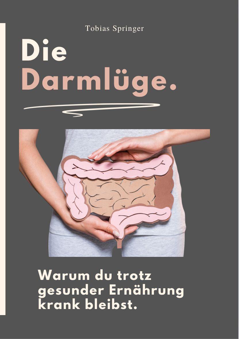 Kniha DIE DARMLÜGE 