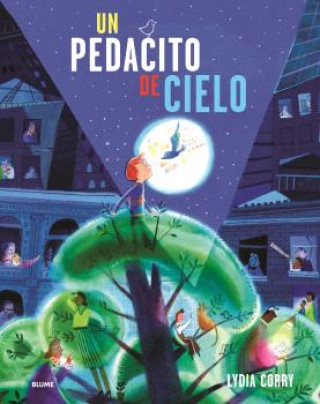 Knjiga PEDACITO DE CIELO LYDIA CORRY