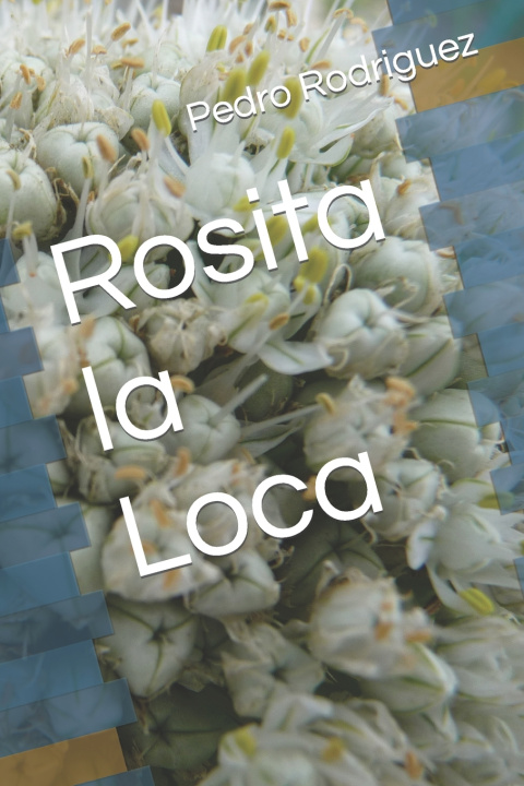 Knjiga Rosita la Loca Pedro Hector Rodriguez