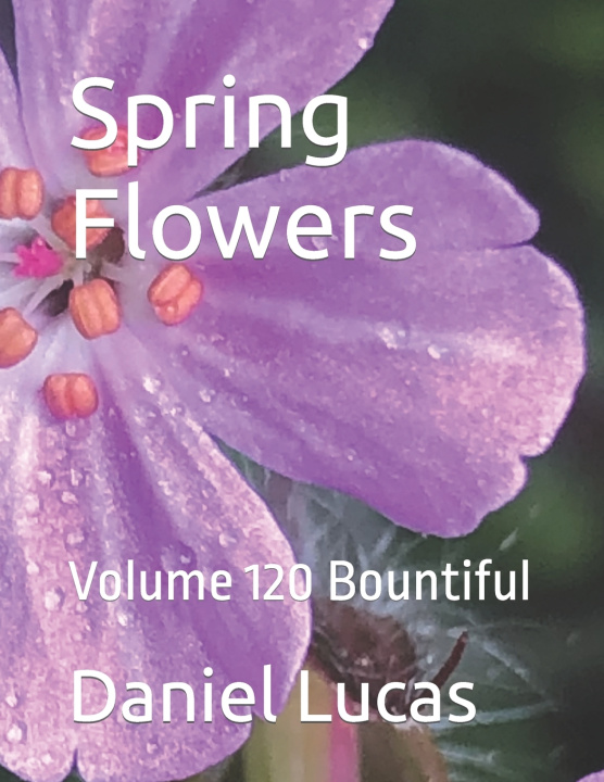 Knjiga Spring Flowers Daniel Lucas