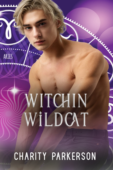 Kniha Witchin Wildcat Charity Parkerson