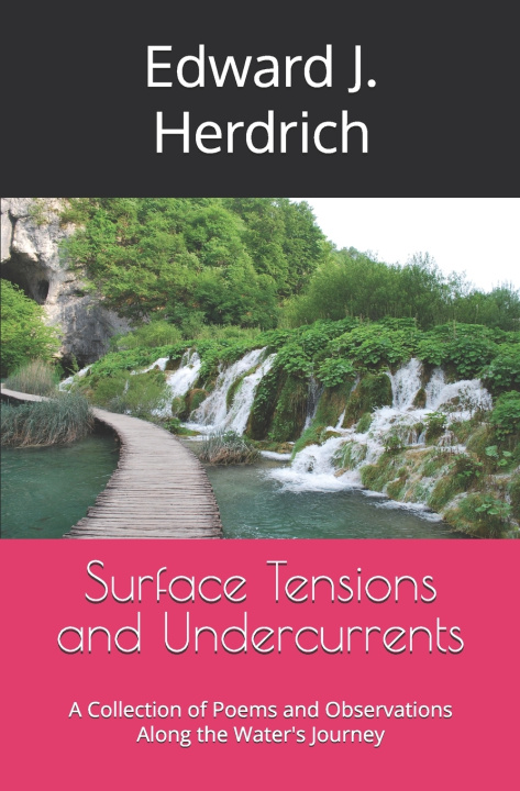 Kniha Surface Tensions and Undercurrents Edward J. Herdrich