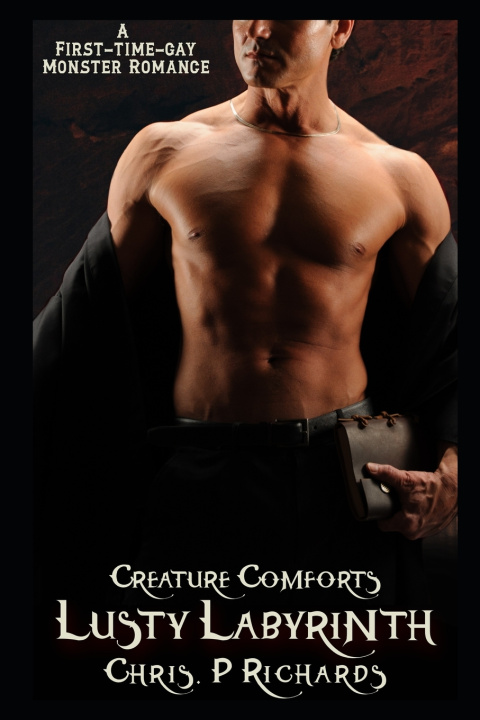 Book Lusty Labyrinth Chris P. Richards