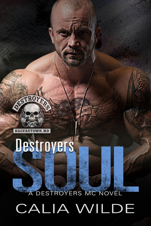 Knjiga Destroyers Soul Calia Wilde