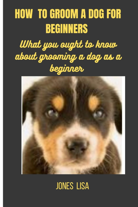 Kniha HOW TO GROOM A DOG FOR BEGINNERS JONES LISA