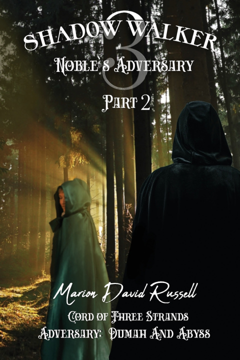 Kniha Shadow Walker III Marion David Russell