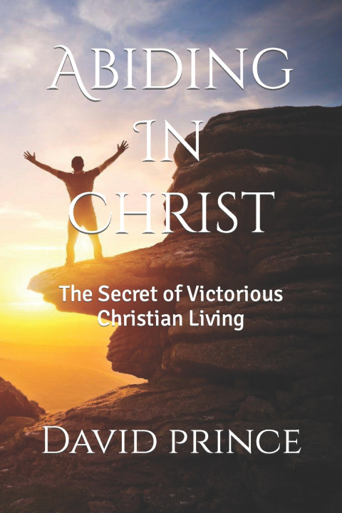 Buch Abiding In Christ David Prince