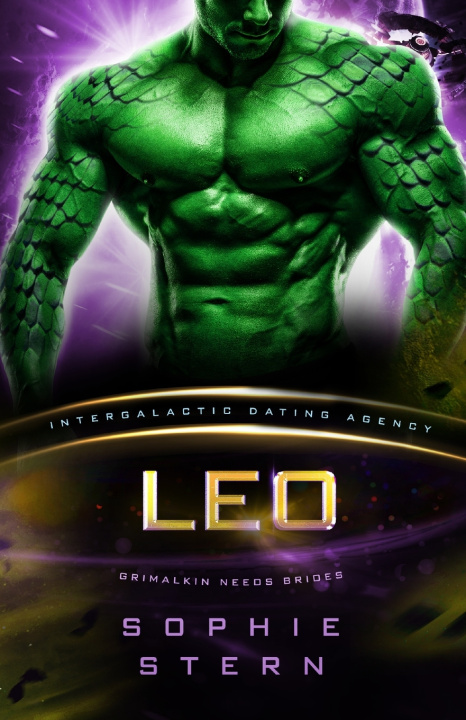 Boek Leo Sophie Stern