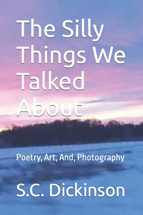 Kniha The Silly Things We Talked About S.C. Dickinson