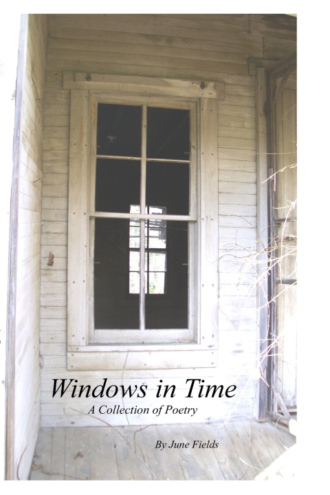 Kniha Windows In Time June Fields