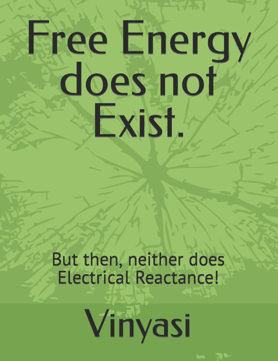 Book Free Energy does not Exist. Vinyasi