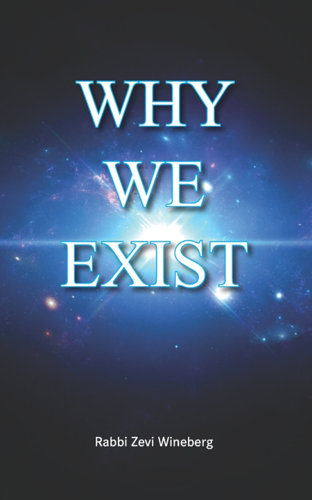 Kniha Why We Exist Rabbi Zevi Wineberg