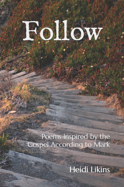 Kniha Follow Heidi L Likins