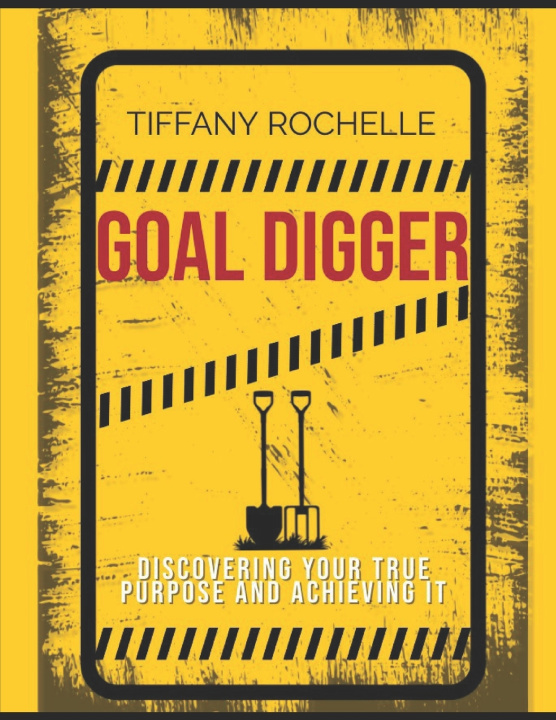 Book Goal Digger Tiffany Rochelle