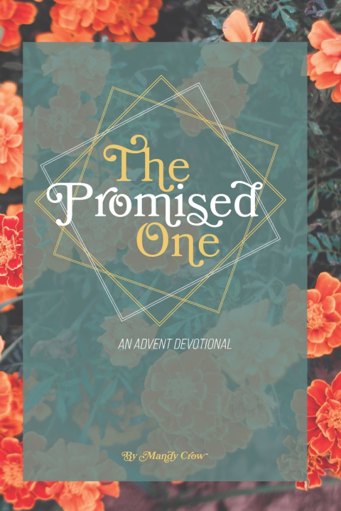 Kniha The Promised One Mandy Crow