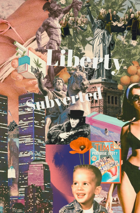 Kniha Liberty Subverted Justin Eggen