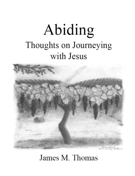 Book Abiding James M Thomas