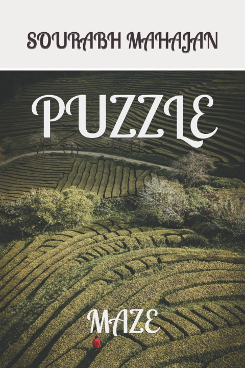 Kniha PUZZLE SOURABH MAHAJAN