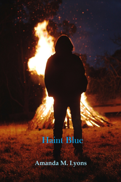 Kniha Haint Blue Amanda M. Lyons