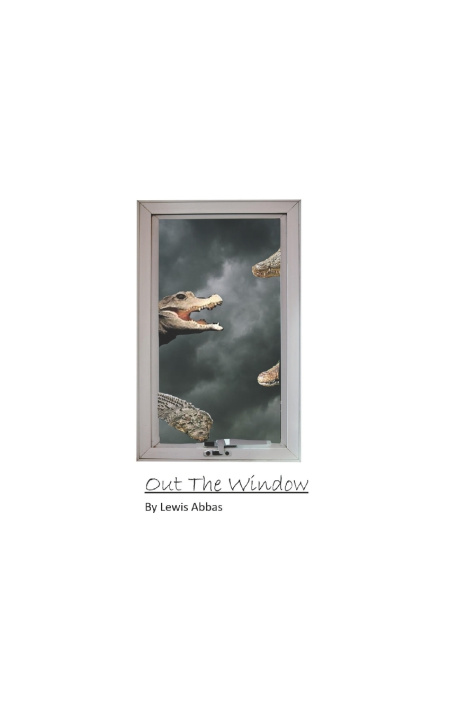 Kniha Out The Window Lewis Abbas