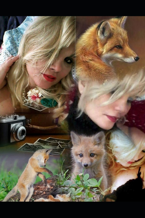 Книга The Fox And The Wolves Rosi Matos