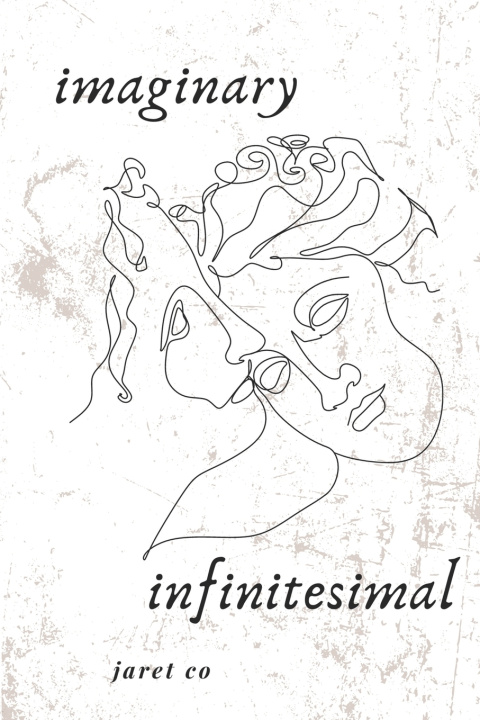 Kniha Imaginary Infinitesimal Jaret Co