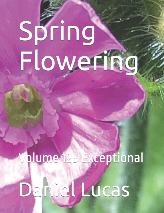 Kniha Spring Flowering Daniel Lucas