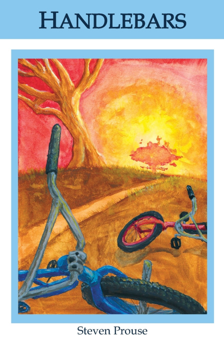 Knjiga Handlebars Steven J Prouse