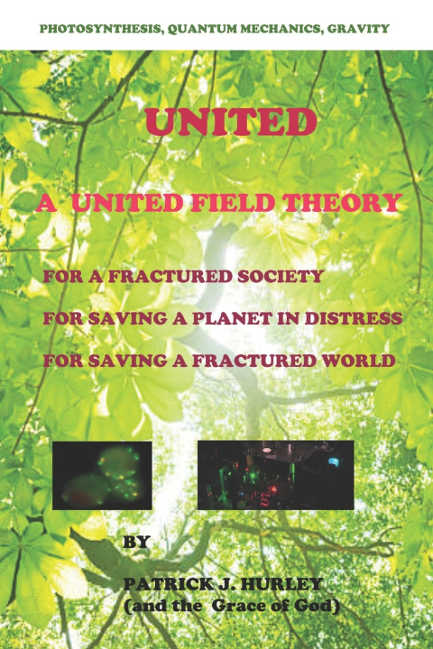 Buch UNITED Patrick J Hurley