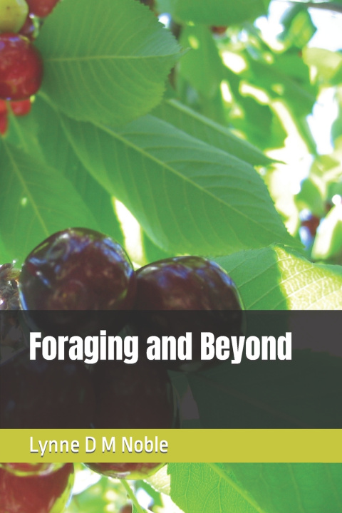Kniha Foraging and Beyond Lynne D M Noble