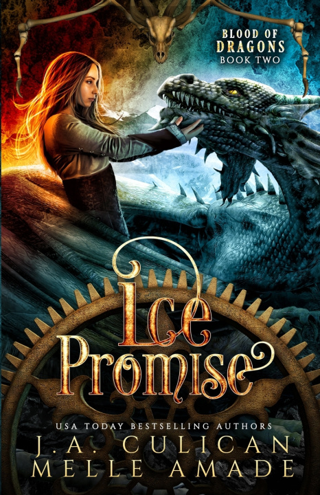 Book Ice Promise Melle Amade