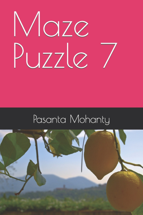 Kniha Maze Puzzle 7 Pasanta Mohanty