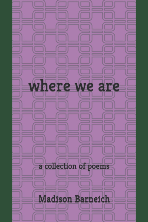 Knjiga where we are Madison G Barneich
