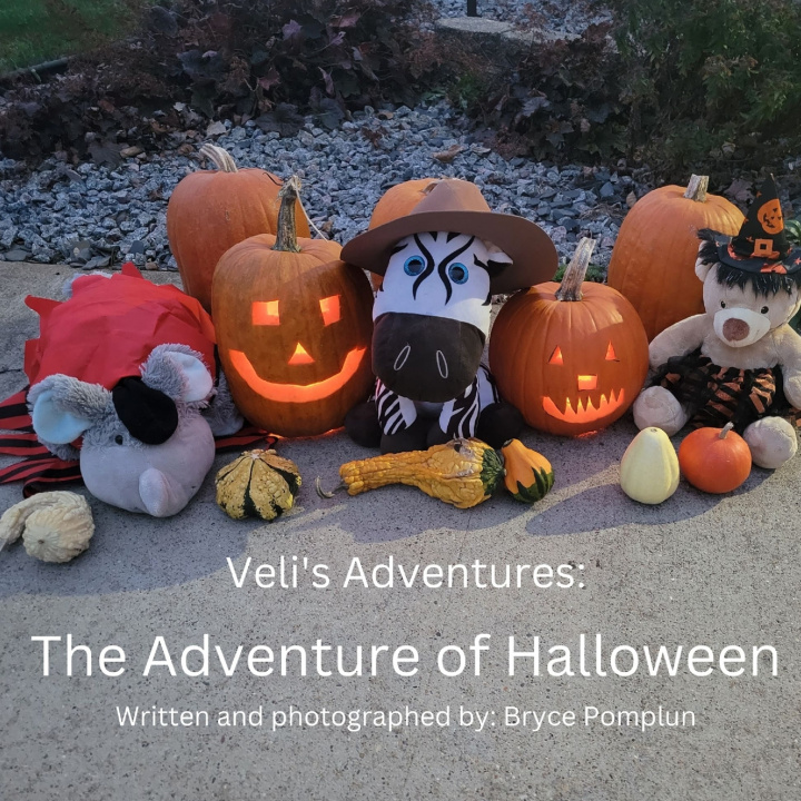 Book Veli's Adventures Bryce Pomplun