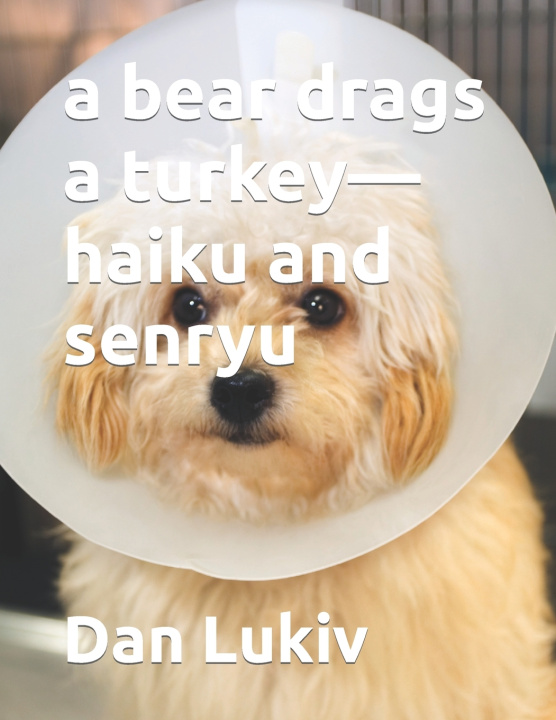 Kniha a bear drags a turkey-haiku and senryu Dan Lukiv