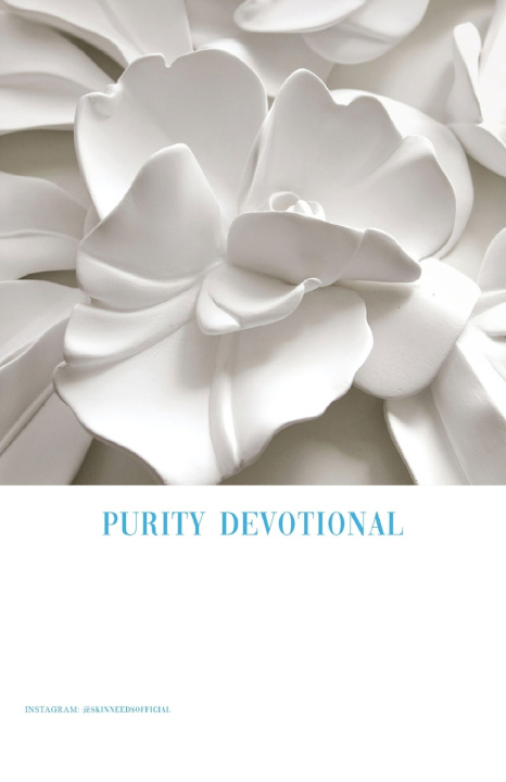 Kniha Purity Devotional Demildade Osunsina