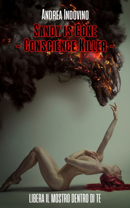Book Sandy is Gone - Conscience Killer - Andrea Indovino