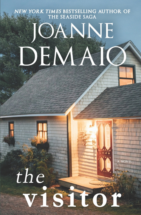 Knjiga The Visitor Joanne DeMaio