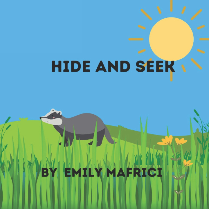 Book Hide and Seek! Emily Mafrici
