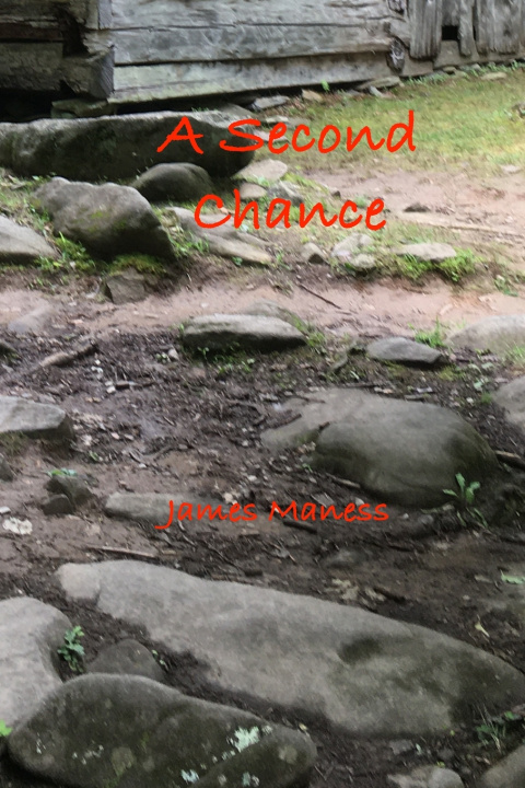 Kniha A SECOND CHANCE James Maness